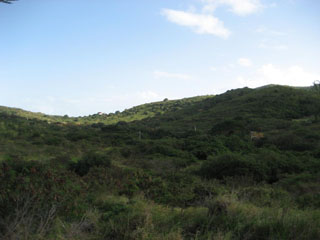 Pastoral view looking east from ridgetop